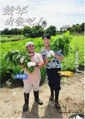 神马影院在线播放 竞技综艺